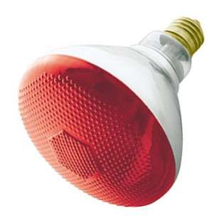   Weatherproof 100 Watt Indoor/Outdoor Red Floodlight Bulb 
