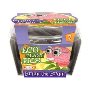  Brian the Brain Case Pack 24 Toys & Games