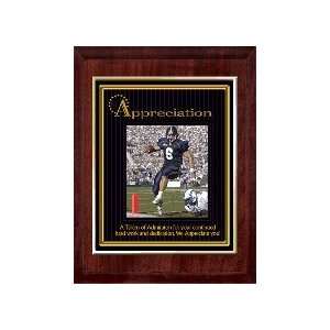  Appreciation (Sports) 10 x 13 Plaque with 8 x 10 Gold 