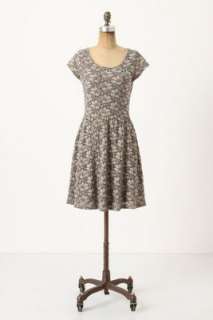 Anthropologie   Brushed Terra Dress  