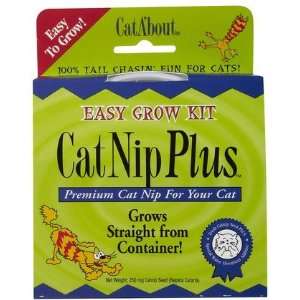    Cat ABout CatNip Plus (Quantity of 4)