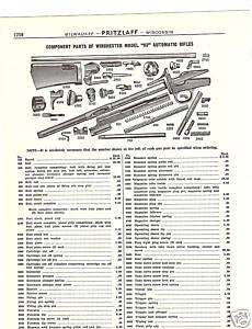WINCHESTER MODEL 03 RIFLE PARTS LIST 1930 CATALOG AD  