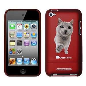  Chartreux on iPod Touch 4g Greatshield Case  Players 