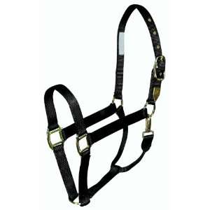   Inch Nylon Horse Halter with Snap, Black, Yearling