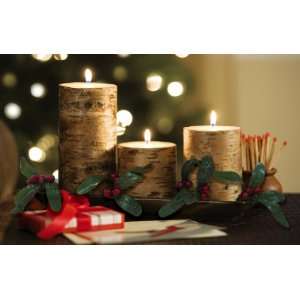 Northwoods Bark Candle Pillars W/ Ceramic Decorative Tray By 