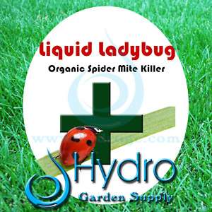 Liquid Ladybug 1L Spray Bottle Spider Mite Killer BEST  
