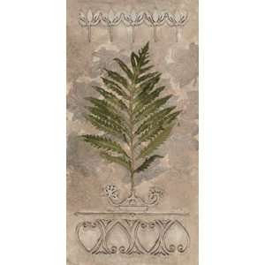  Embossed Fern II by Merri Pattinian 12x24 Kitchen 