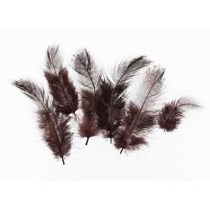  Guinea Feathers in Brown   10 Pieces Arts, Crafts 
