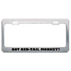 Got Red Tail Monkey? Animals Pets Metal License Plate Frame Holder 