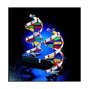 DNA Molecule Construction Set  Industrial & Scientific