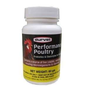    High Perfomance Probiotic Poultry Supplement 60gm
