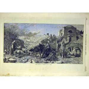  1870 Rain Cloud Palestine Webb Art Old Print Animal