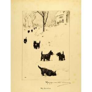  1931 Print Marguerite Kirmse Scottish Terrier Dogs Pet 