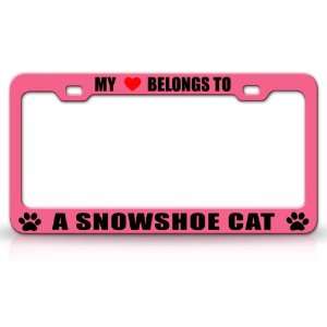 MY HEART BELONGS TO A SNOWSHOE Cat Pet Auto License Plate 