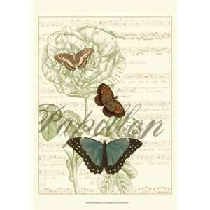  Papillon Melange II   Poster by Vision studio (13x19 
