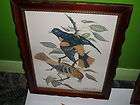   Rosato Set of 2 Framed Prints + 2 Loose Prints Birds Nice VGUC