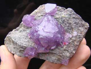     Purple ALUNITE Crystals   Lovely Cluster on Matrix  Poland  
