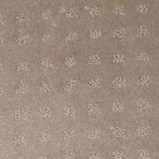 Platinum Plus Exquisite   Color Tan Sweet 12 ft. Carpet 5027 304 at 