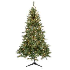 Home Accents Holiday 6.5 ft. Pre Lit Aster Pine Tree with Clear Lights 