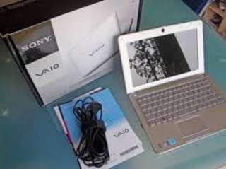 Sony Vaio Netbook, Windows 7, in weiss, 10 Zoll, wie NEU in München 