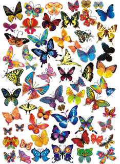 WANDTATTOO 50 bunte Schmetterlinge gedruckt DIN w549 A3  