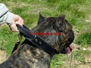 New Leather Agitation Dog Collar with Handle  C33  
