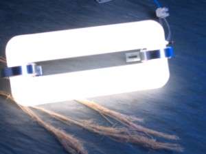 LVD 0553 1 Energy Saving Induction Floodlight 40w Lamp  