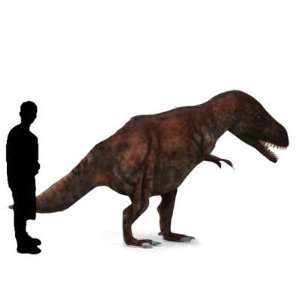  Giant Studio Collection Tyrannosaurus Rex Dinosaur Toys & Games