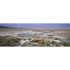 Alkaline Crystals on a Landscape, Badwater, Death Valley National Park 