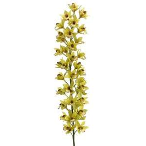  Pack of 6 Artificial Green Mini Cymbidium Orchid Silk Flower 