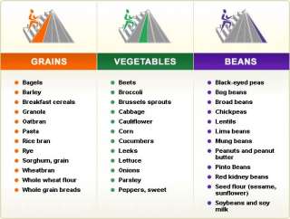 grains and beans legumes should be the foundation of your lifetime 