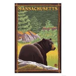  Massachusetts   Black Bear in Forest Premium Poster Print 