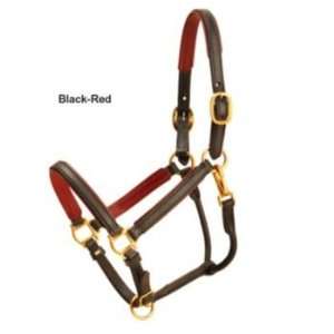  Tory Leather Padded 3/4 In Halter Horse Black/Whit