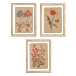  Linen Botanical Prints  Ballard Designs