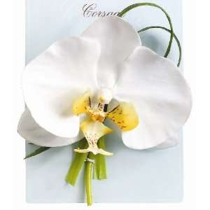 Phalaenopsis Orchid Artificial Flower Corsage, Cream