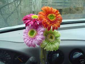 VW New Beetle Bouqet Silk Daisy Flowers CLEAR Bud Vase  