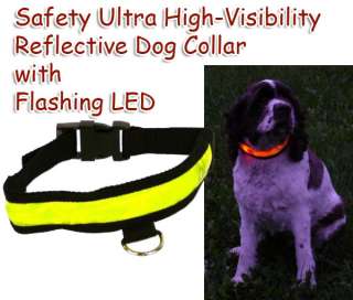 PET SAFETY ILLUMINATED RED LED DOG COLLAR GLOW IN DARK  