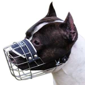 Basket Muzzle For Dog Size #12   Dachshund/Poodle Male  