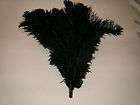 TEN 10 PROFESSIONAL BLACK OSTRICH FEATHER DUSTER 350MM OVERALL FIRST 
