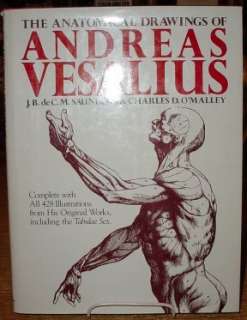   Image Gallery for The Anatomical Drawings Of Andreas Vesalius