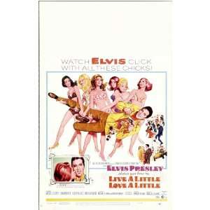  Live a Little Love a Little (1968) 27 x 40 Movie Poster 