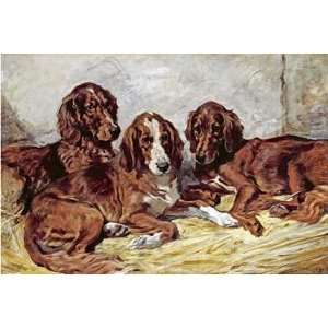 com Shot and His Friends   Three Irish Red and White Setters by John 