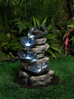   faux stacked rocks. A frog perches nobly at the top. Distilled water