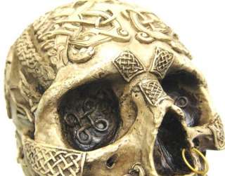 Celtic Lion Knotwork Human Skull Statue Bone Finish  