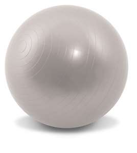 NEW Gym Excercise Workout Ball Silver w/Pump &Bag 65 CM  
