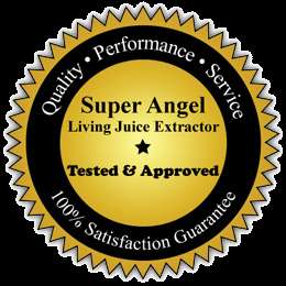 SUPER ANGEL 5500 Stainless Juicer from #1 Raw Food Guru  
