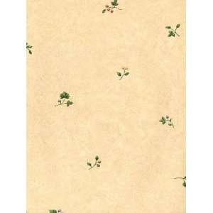    Wallpaper Brewster Cup of Flower 23654832