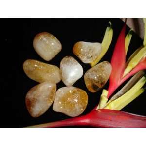  Citrine a 1/4lb Med. Tumbled Stones Chakra Healing Reiki 