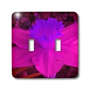   Jonquil Flower   Light Switch Covers   double toggle switch Home