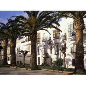 Spanish Architecture and Palm Trees, Tarifa, Andalucia, Spain Premium 